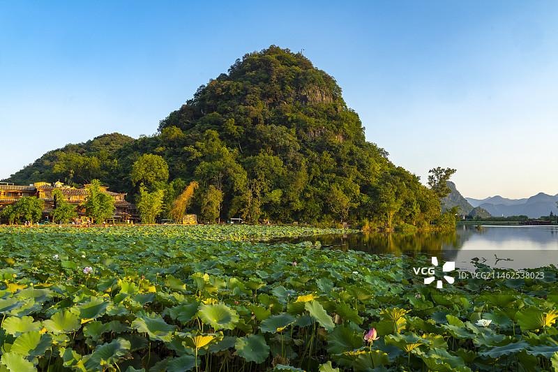 中国云南省文山州丘北县普者黑景区图片素材