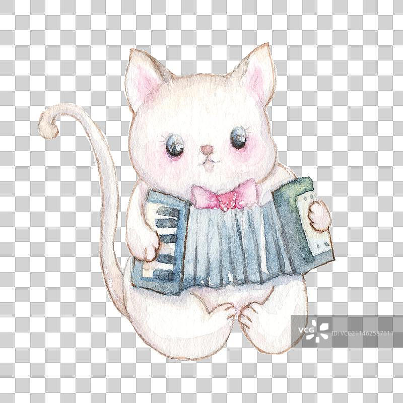 可爱的小猫咪白猫坐在地上拉着手风琴表演庆祝图片素材