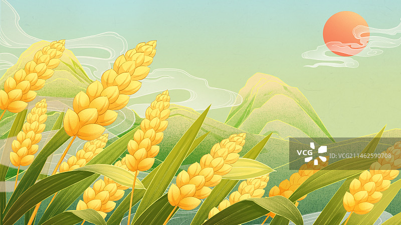 温馨唯美二十四节气芒种插画图片素材