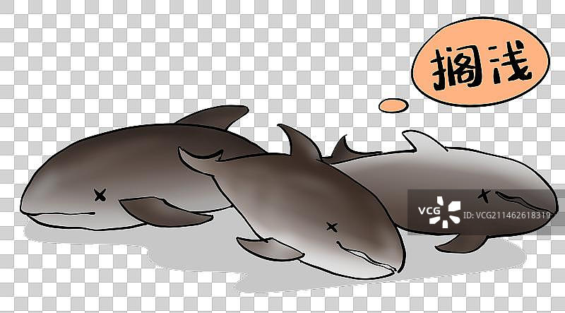 搁浅的鲸鱼图片素材