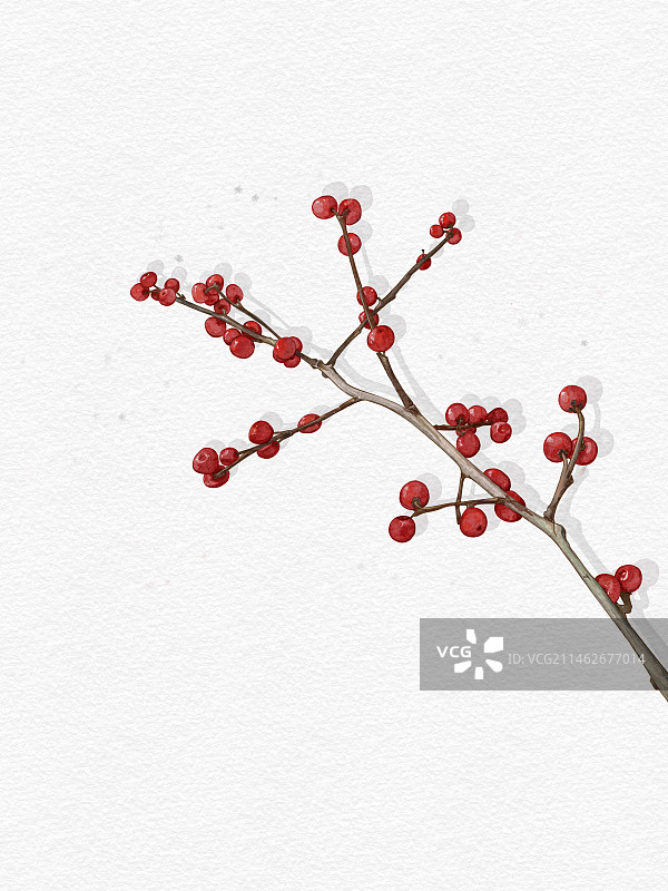 手绘水彩红果子树枝图片素材