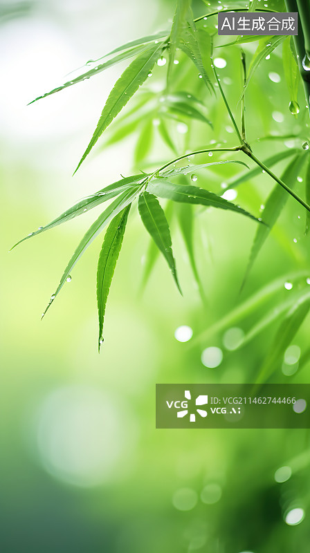 【AI数字艺术】湿植物叶子特写镜头图片素材