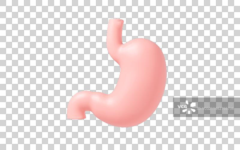 胃部消化系统医疗概念3D渲染图片素材