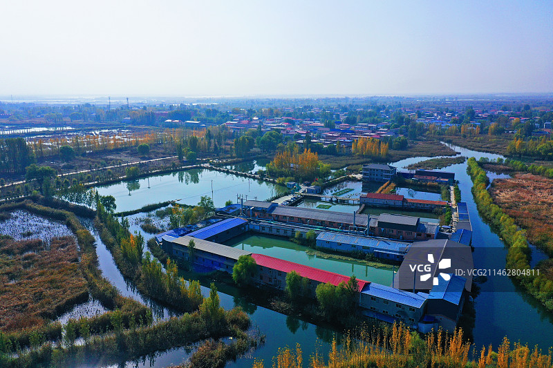 华北明珠白洋淀风景美如画 （雄安新区安新县赵庄子村）图片素材