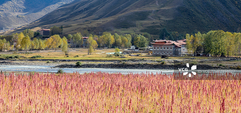 川西的秋天——新都桥图片素材