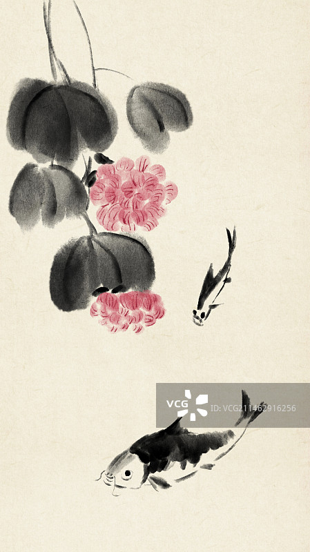 水墨芙蓉花鱼类国画图片素材