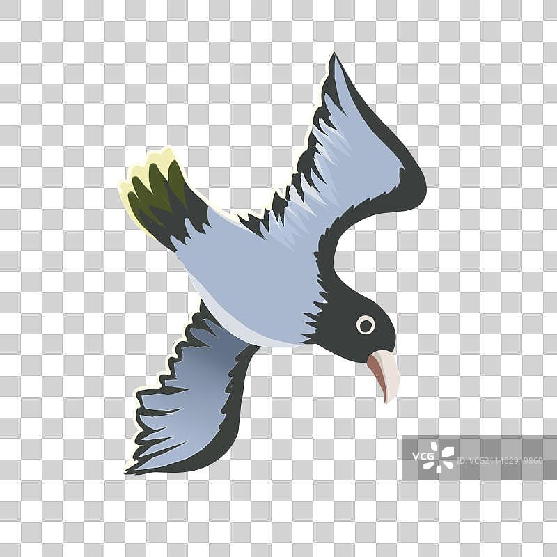 热带海鸟图片素材