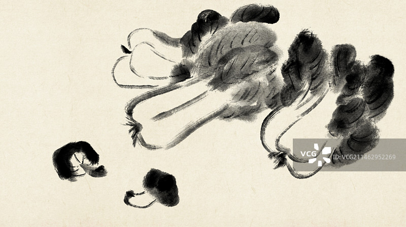 水墨蔬菜大白菜与蘑菇中国画图片素材