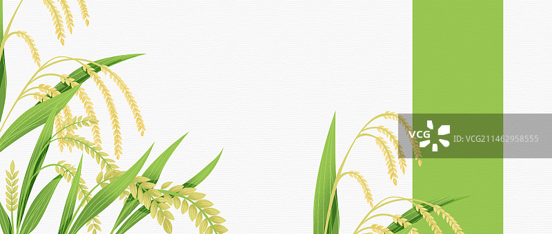 芒种国风二十四节气插画图片素材