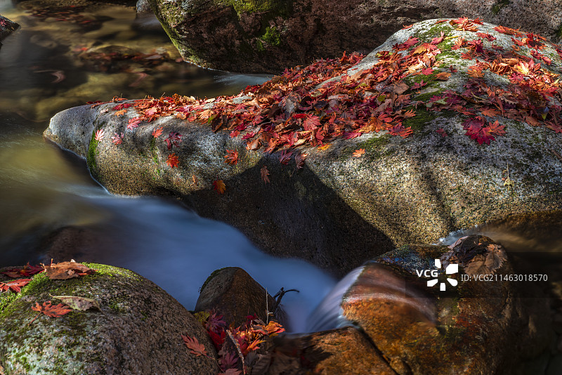 红枫季～辽宁丹东老边沟图片素材