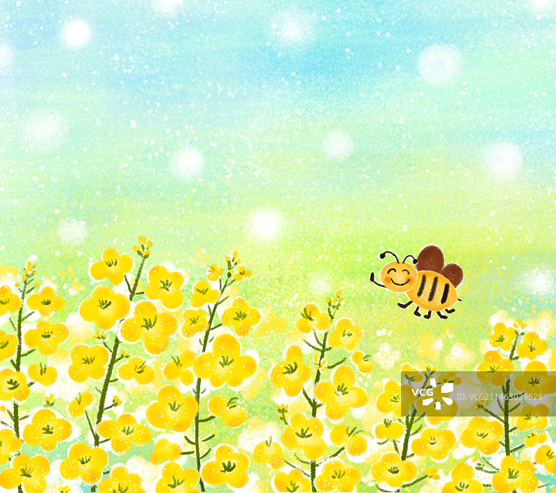 春天油菜花蜜蜂图片素材