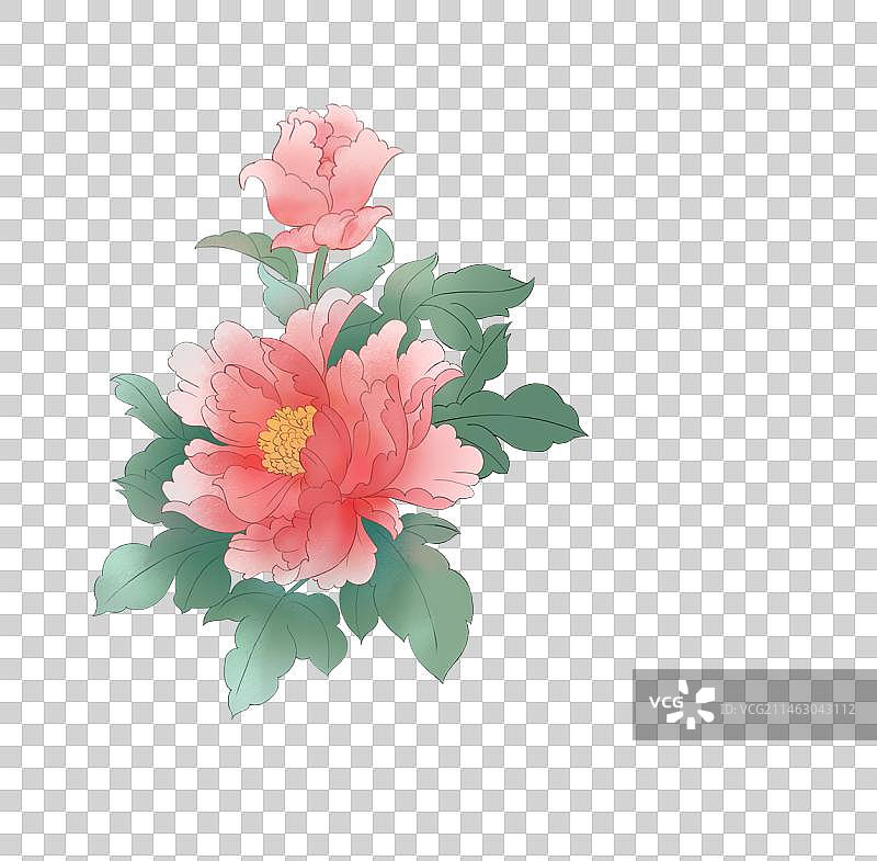 牡丹国风插画元素图片素材