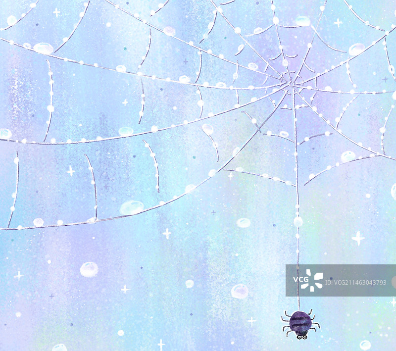 秋天寒露蜘蛛图片素材