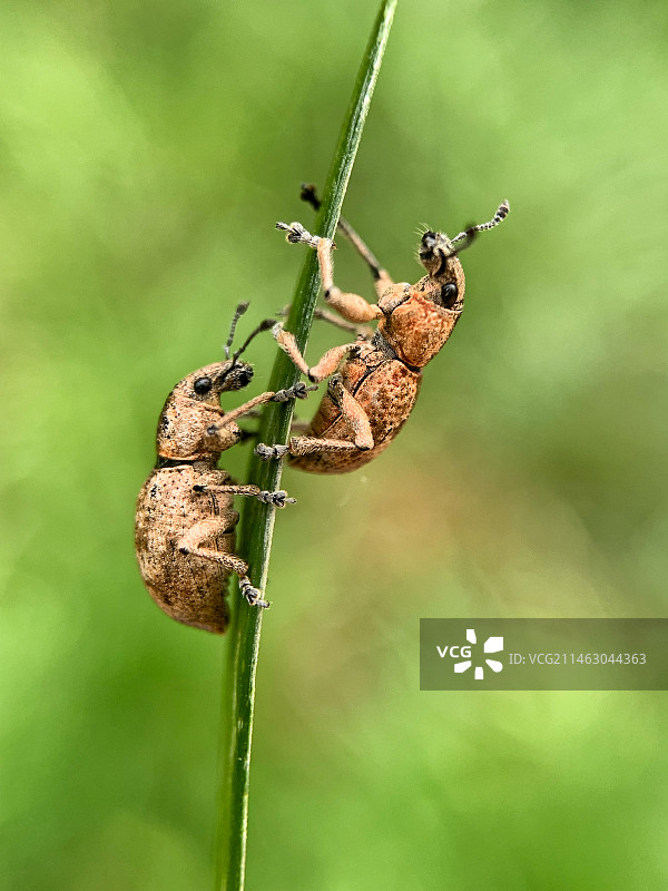 路过你路过的路图片素材
