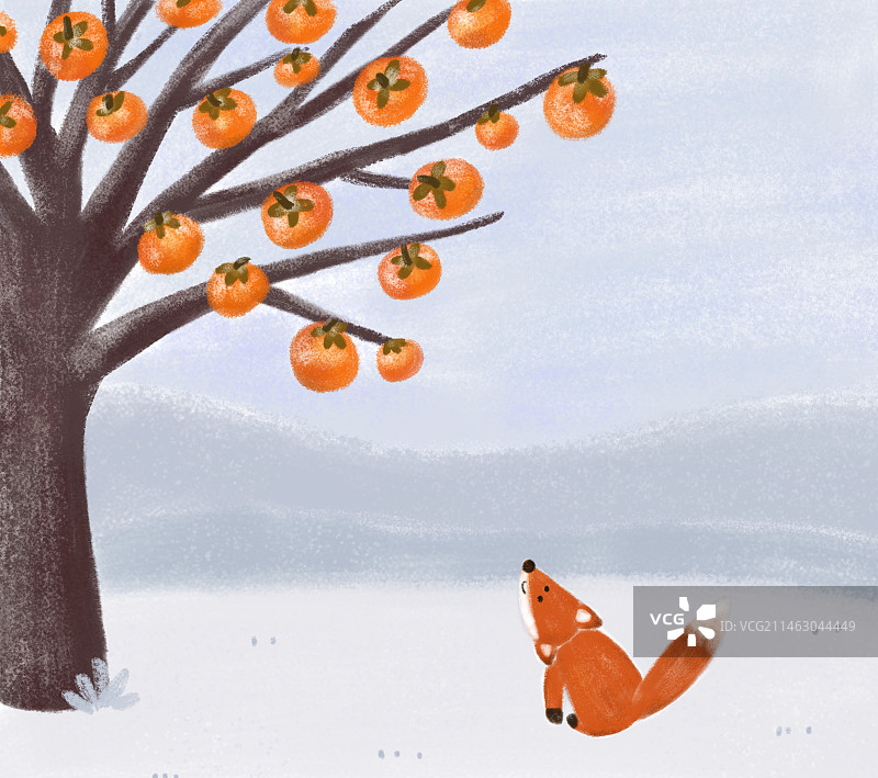 秋天柿子狐狸图片素材