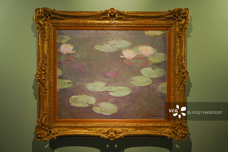 莫奈睡莲展于遇见博物馆图片素材