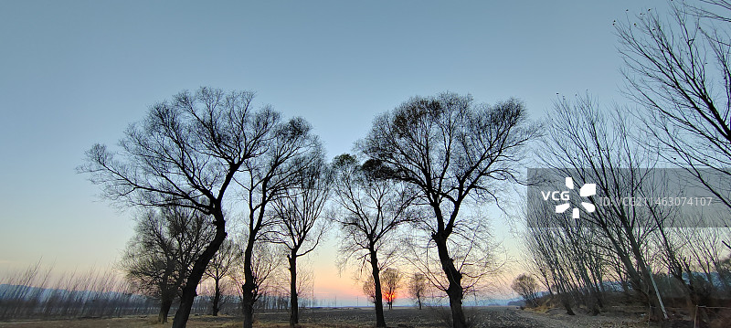 北京延庆区官厅水库夕阳下的岸边树林图片素材
