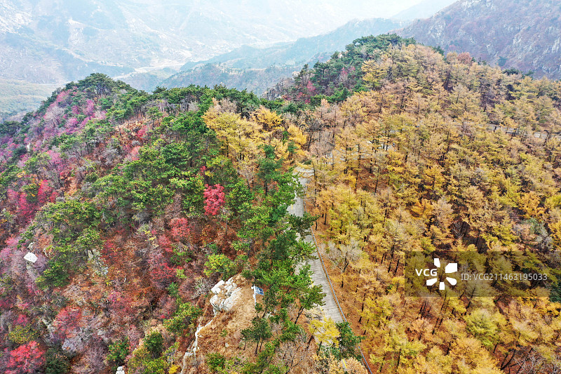 山东临沂蒙山多彩的森林图片素材