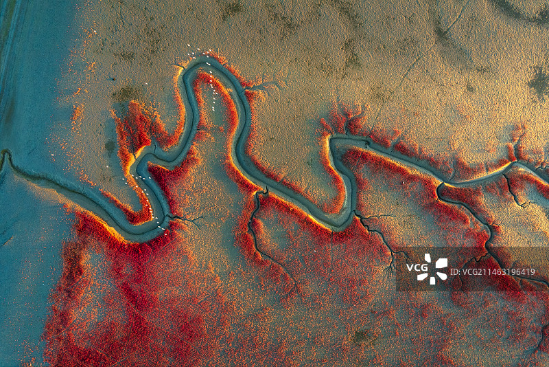 盘锦红海滩图片素材