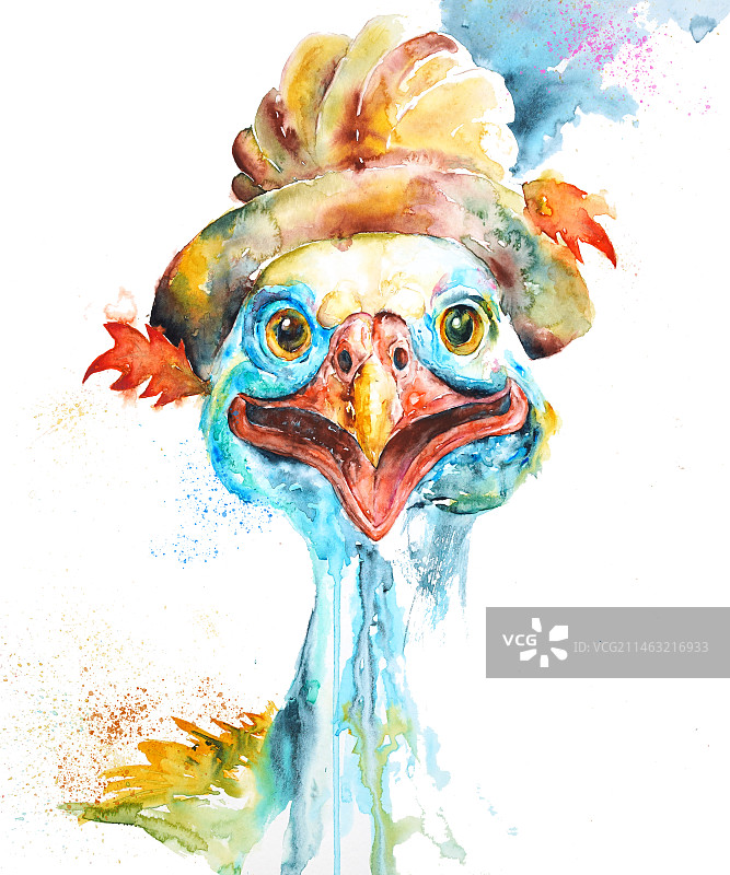 感恩节火鸡图片素材