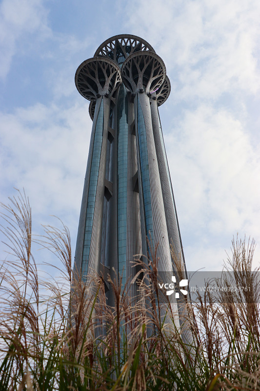 芦苇丛中的奥林匹克塔图片素材