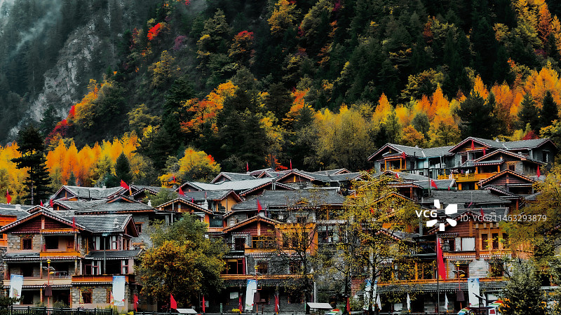 阿坝黑水县羊䇯德哈图片素材