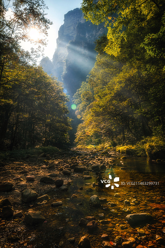 张家界国家森林公园金鞭溪图片素材