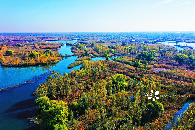 华北明珠白洋淀冬季风光美无限 （雄安新区安新县郭里口村）图片素材