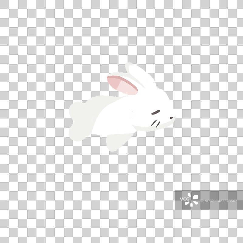 可爱兔子免抠图图片素材