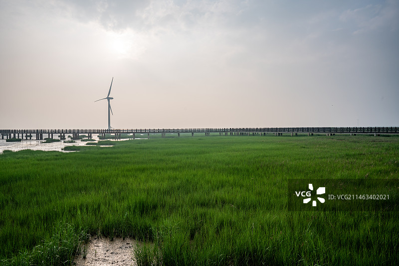中国江苏盐城市滨海县海边日出湿地风光图片素材