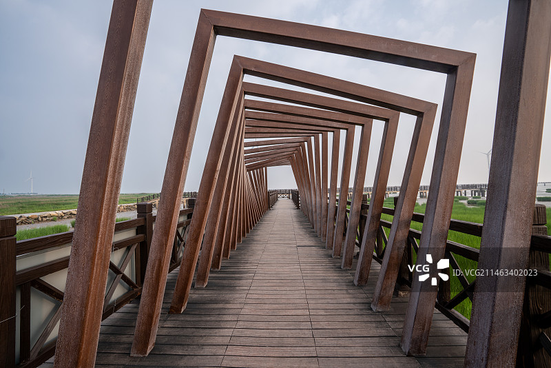 中国江苏盐城市滨海县海边日出湿地风光图片素材