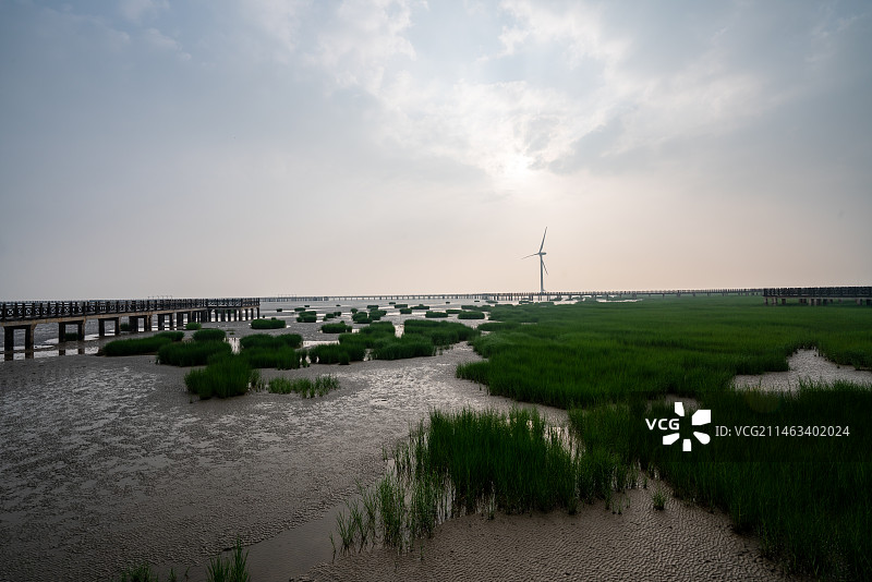 中国江苏盐城市滨海县海边日出湿地风光图片素材