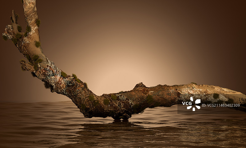 化妆品木头水面背景图图片素材