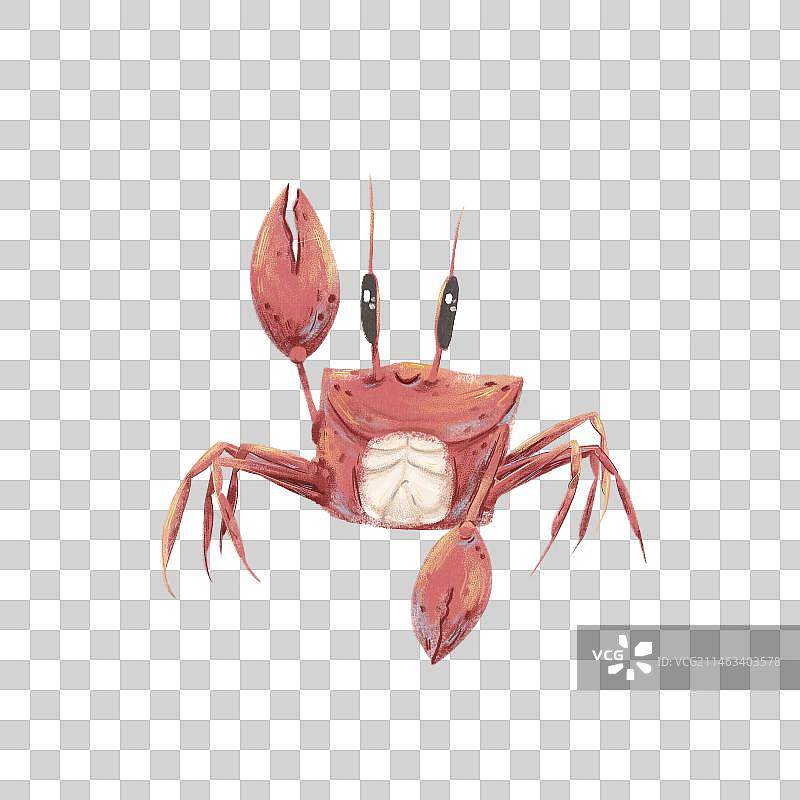 绘本手绘肌理风格螃蟹海洋动物图片素材