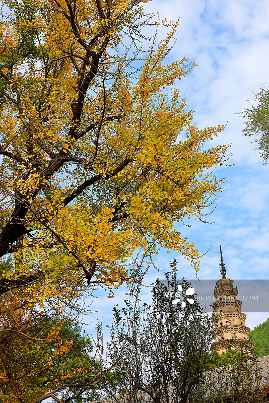 灵岩寺秋色图片素材