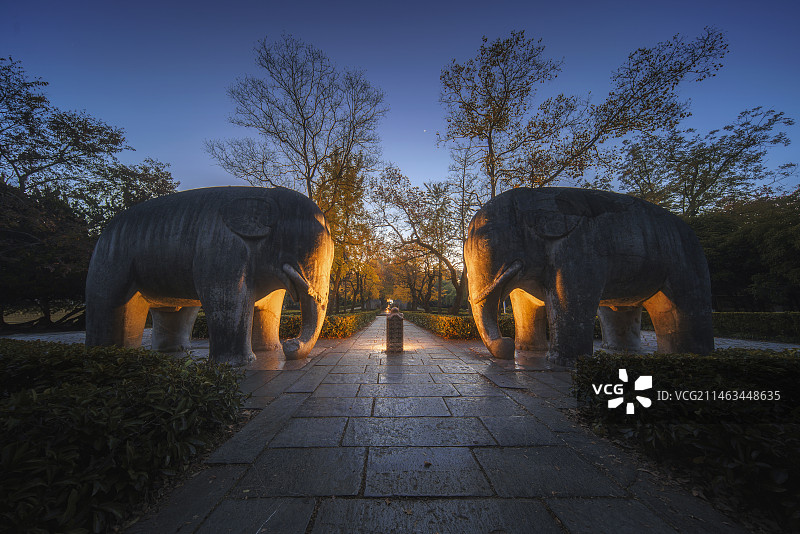 南京石象路夜景图片素材