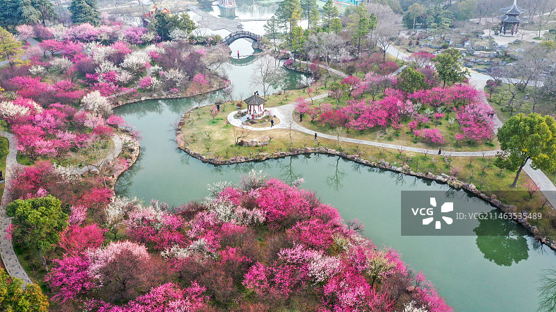 梅林春色，航拍于扬州瘦西湖图片素材