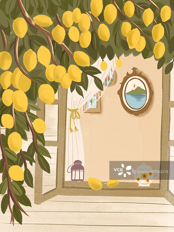 柠檬树下图片素材