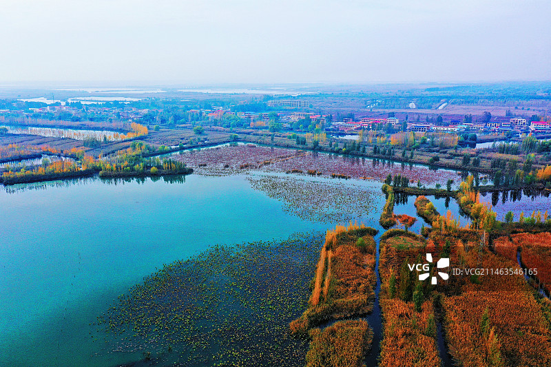 华北明珠白洋淀，冬季风光美无限 （雄安新区安新县赵庄子村）图片素材