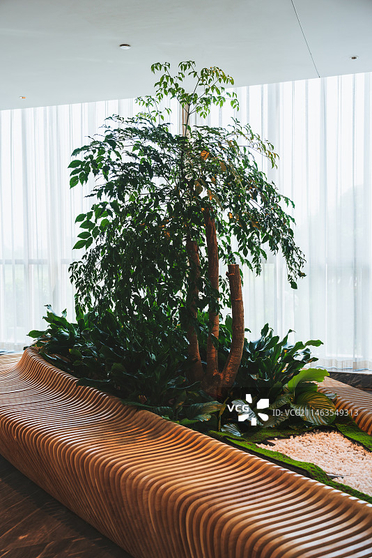 湖州潞村悦柳酒店内部绿植装饰图片素材