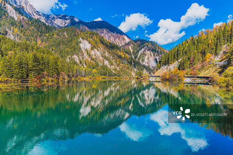 四川九寨沟风景区 箭竹海图片素材