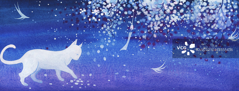 夜晚的小猫图片素材