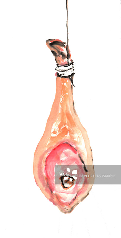 火腿国画 水彩火腿 手绘水墨火腿插画图片素材