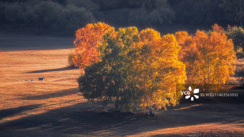 秋日牧歌图片素材