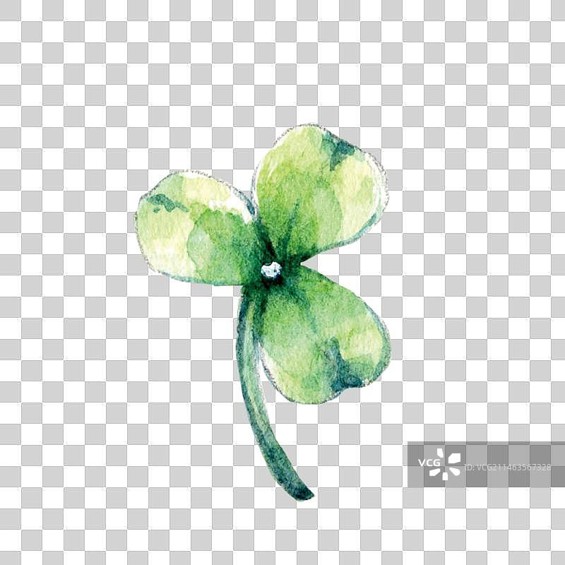 醡浆草三叶草四叶草酸咪咪花朵特写镜头图片素材