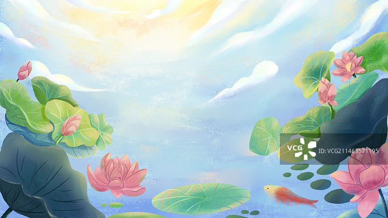 荷花池塘背景图片素材