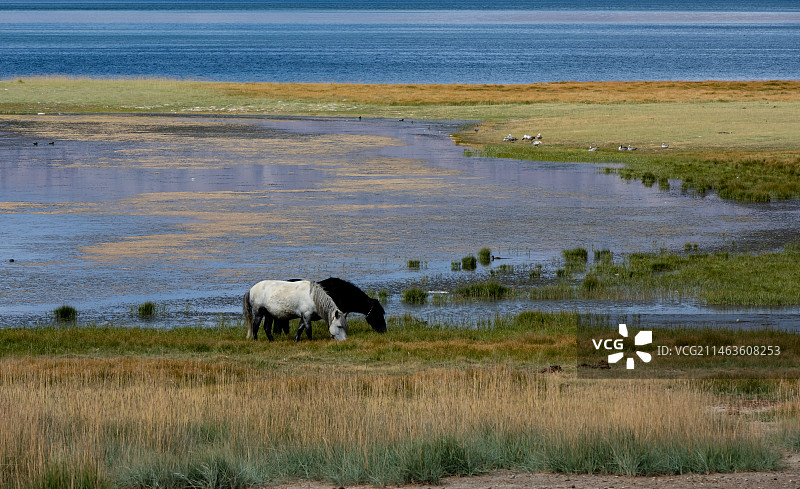 班公湖图片素材