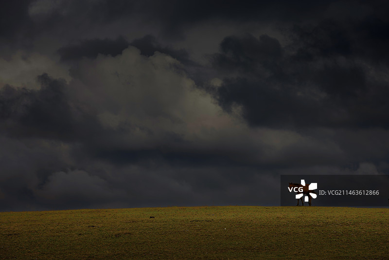 草原上孤独的马图片素材