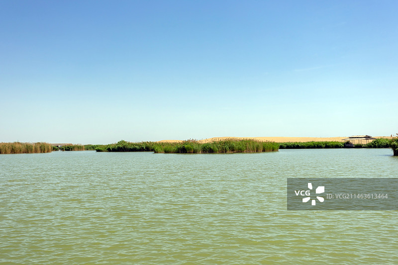 宁夏石嘴山沙湖旅游景区芦苇湿地风光图片素材
