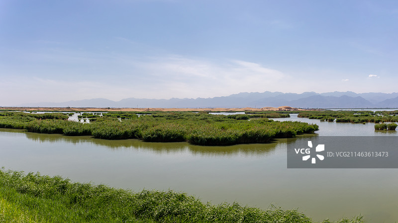 宁夏石嘴山沙湖旅游景区芦苇湿地风光图片素材